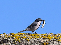 Monumento Natural Los Barruecos
